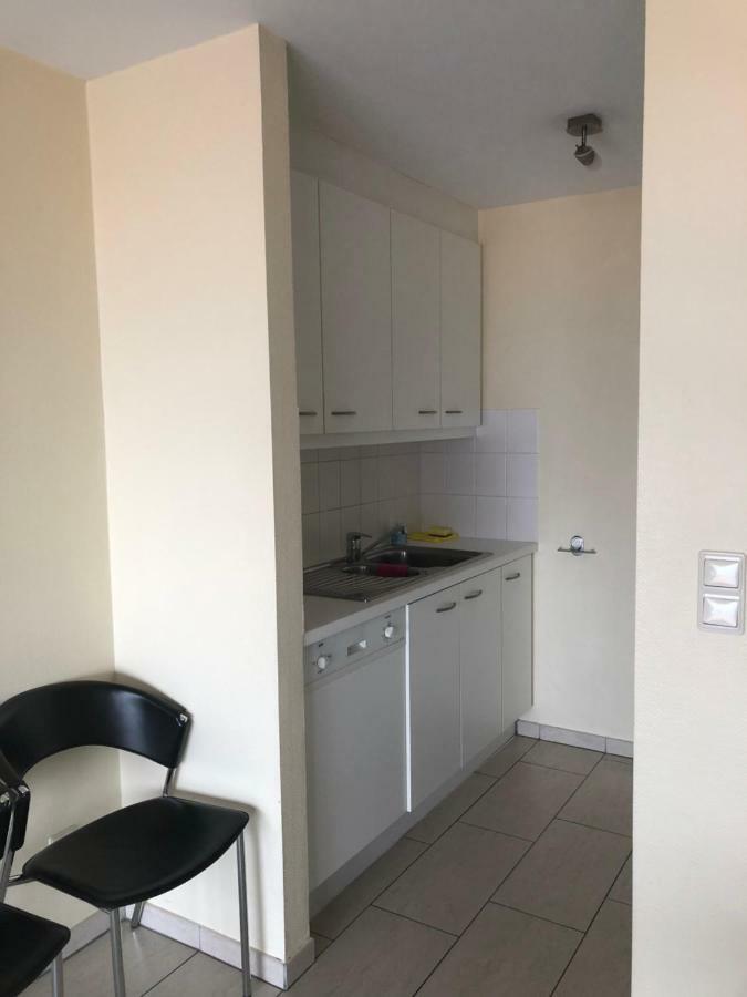Residentie Albert-1, App.202, Zeelaan 214 Де Пане Екстериор снимка